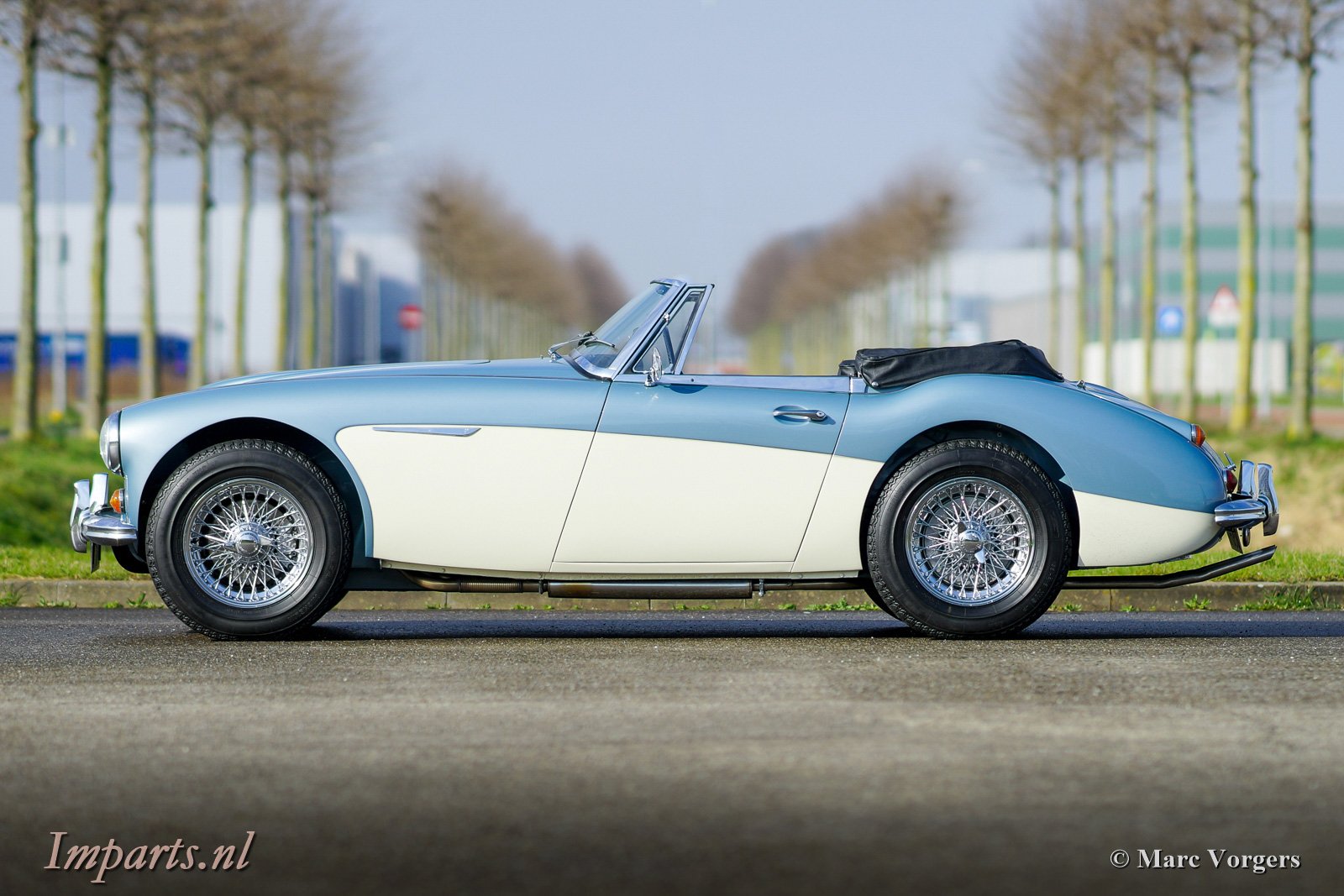 984-austin-healey-3000-mk3-overdrive-1